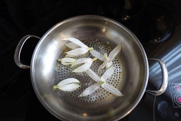 Wie schmecken in Butter geschmorte Fuchsienblüten?